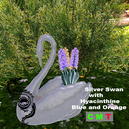 Silver Swan with Hyacinthine Blue and Orange