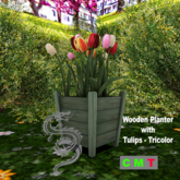 Wooden Planter with Tulips - Tricolor