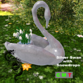 Silver Swan with Snowdrops