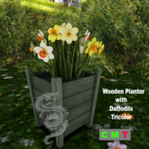 Wooden Planter with Daffodils - Tricolor