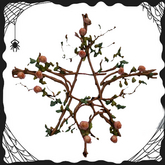Pentagram Twig & Rose Vine Pink
