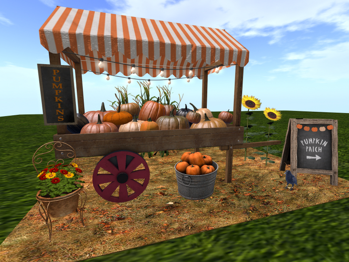 Autumn Pumpkin Stall