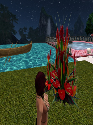 red flowers 1p boxed