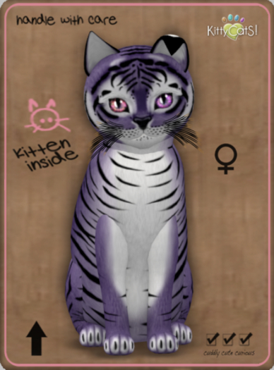 KittyCatS Box - Tiger! - Dusky Plum Female