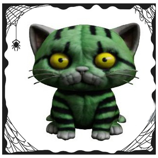 Frank the Kitty