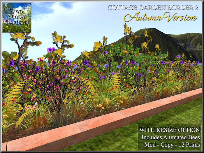 Cottage Autumn Flowers 2