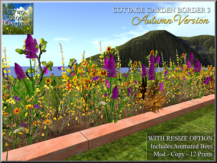 Cottage Autumn Flowers 3