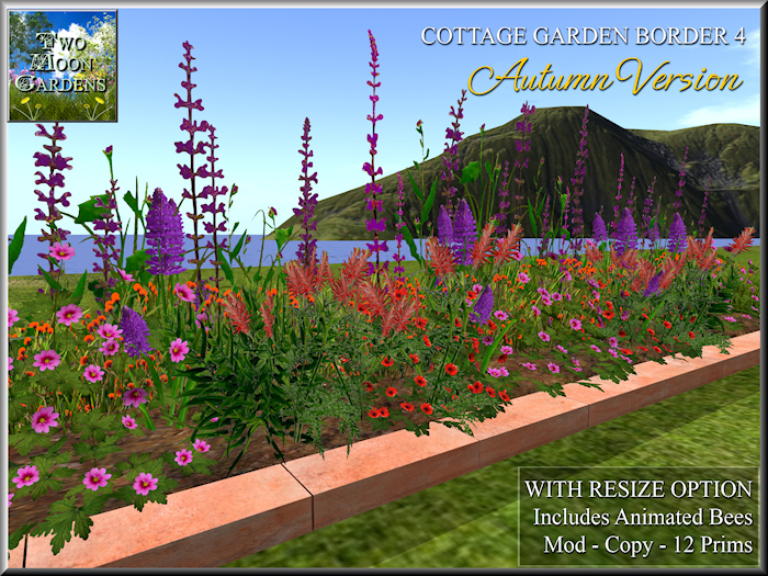 Cottage Autumn Flowers 4