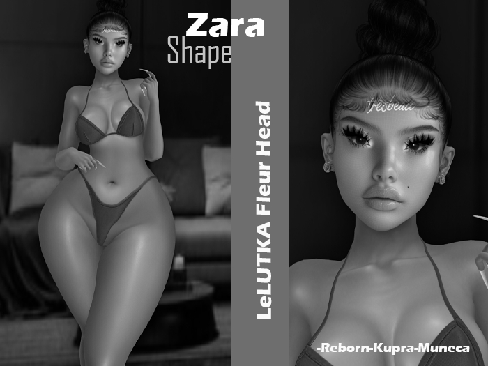 16.DEMO Zara (Korean)