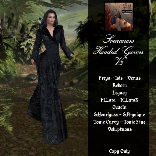 DI Sourceress Hooded Gown V3