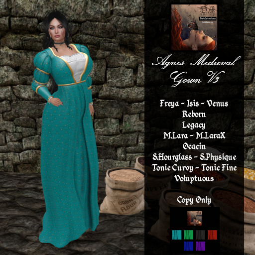 DI Agnes medieval Gown V3