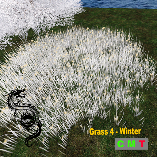 Grass 4 - Winter