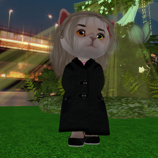 150 big kitty set