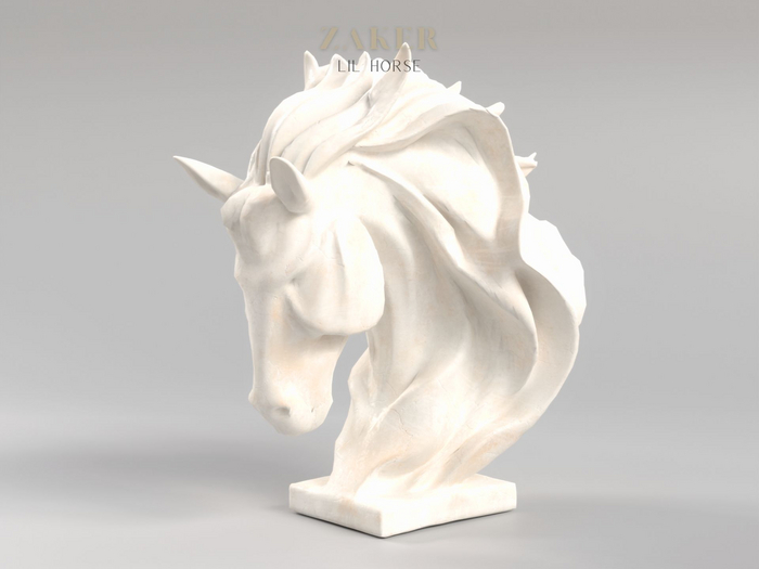 ZAKER : lil horse