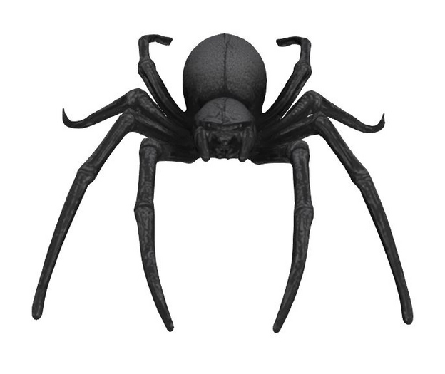 Spider Black