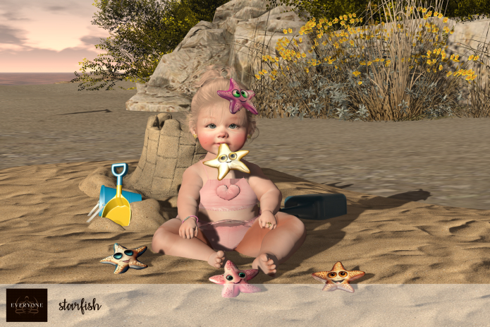 EVERYONE starfish