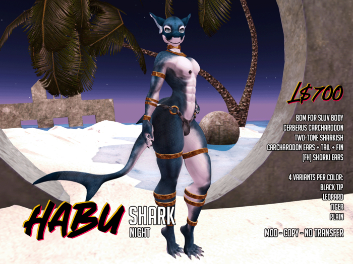 [HABU] Shark - Night