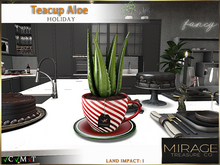 {Mirage} Teacup Aloe - Holiday