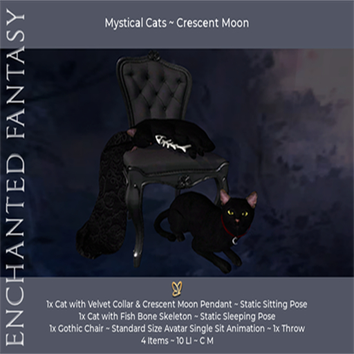Mystical Cats ~ Crescent Moon