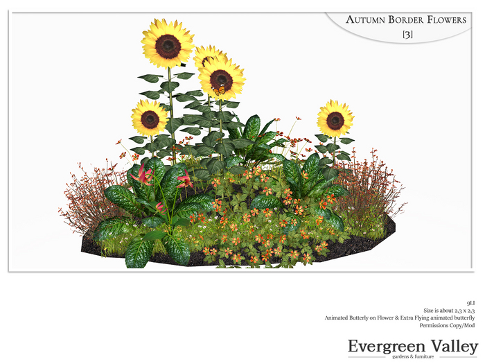 Autumn Border Flowers [3]