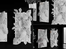 Tropical Wall White Vol.3    - CANARUN - (Rezzme)