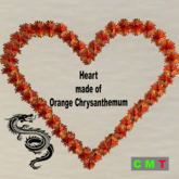 Heart made of Orange Chrysanthemum