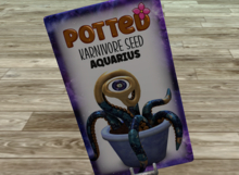 Potted: AQUARIUS  Breeadable Karnivore  Plant Seed
