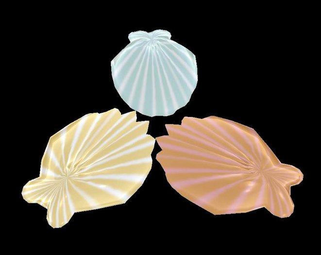 3 Shiny Shells by Rita Munro