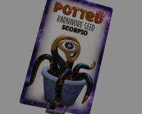 Potted: SCORPIO Breedable Karnivore Plant Seed
