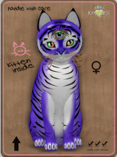 KittyCatS Box - Tiger! - Lavender Female