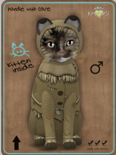 KittyCatS Box - ScareCrowS! 2 - Shabby - Boy
