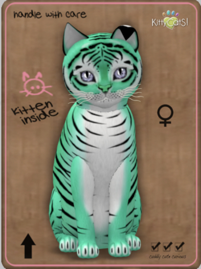 KittyCatS Box - Tiger! - Seafoam Female