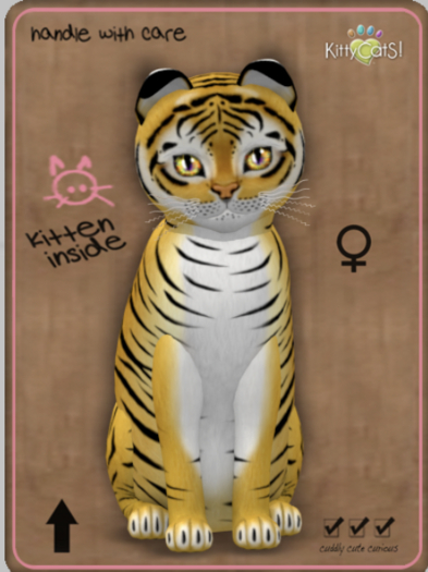 KittyCatS Box - Tiger! - Golden Ticket Female