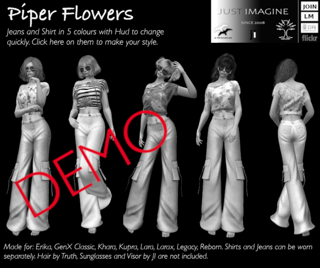 DEMO PIPER 1 - 2 PACKAGE (ADD)