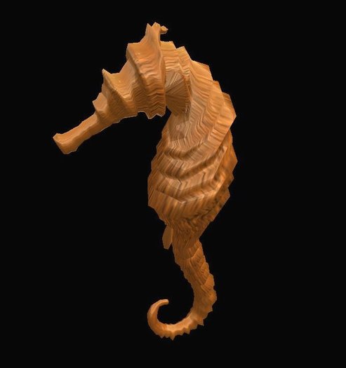 Seahorse by Rita Munro