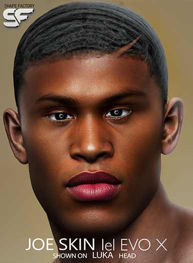 :::: SF JOE . SKIN . RICH   ::::