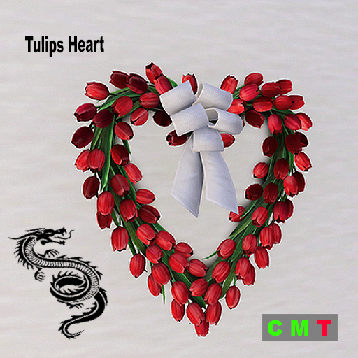 Tulips Heart