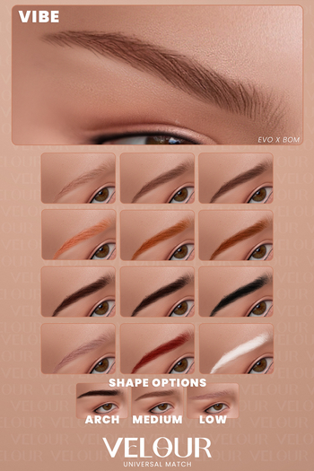 VELOUR "VIBE" BROWS