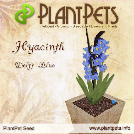 Plantpets Hyacinth *Delft Blue* Texture