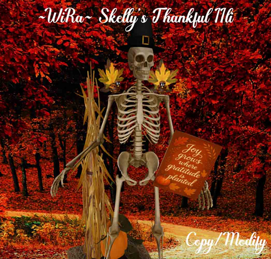~WiRa~ Skelly's Thankful BOX
