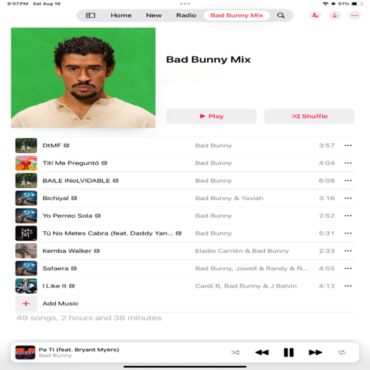 Music HUD Unpacker - Bad Bunny Mix