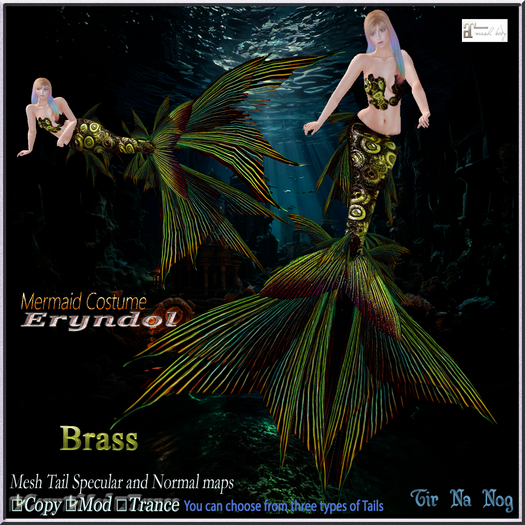 **TNN**Mermaid costume =Eryndor =Brass