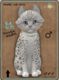 KittyCatS Box - Ocicat - Platinum Male