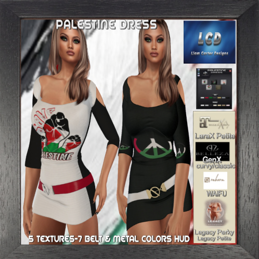 LCD Palestine Dress