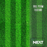 [NEXT] Full Perm GRASS Texture #0006