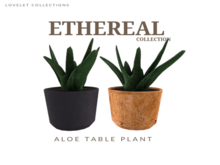 #Lovelet- Ethereal Table plants