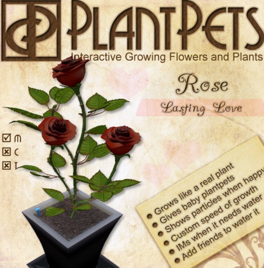 PlantPet Seed [Rose *Lasting Love*] RARE
