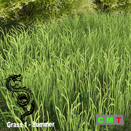 Grass 1 - Summer Grass