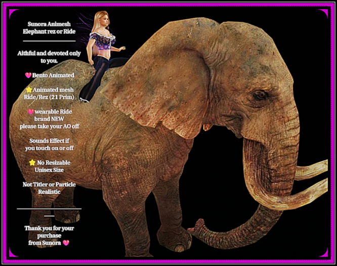 Sunora Animesh Elephant rez or Ride