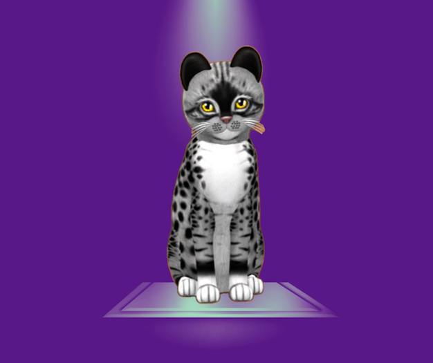 KittyCatS Box - 2T F Genesis Bandit II Genesis Sunflower